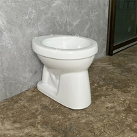 Cuvette de toilettes en céramique monobloc à double chasse pour villa, style Asie du Sud-Est (Philippines)