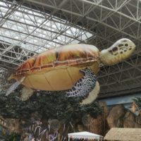 Modèle de tortue gonflable télécommandé personnalisé, imprimé UV, pour spectacles de festival, vente directe usine, électrique