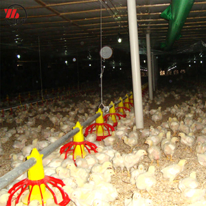 Tự Động Nhựa <span class=keywords><strong>Pan</strong></span> Crew Gia Cầm <span class=keywords><strong>Feeder</strong></span> Cho Gà Thịt Và Nhà Lai Tạo - Product Image 4