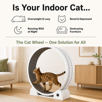 Roue d'exercice pour chat intelligente avec écran numérique 110 cm, en ABS écologique, silencieuse, grande taille, jouet de fitness pour animaux de compagnie