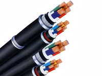 Kabel Daya Bawah Tanah Berlapis Baja 2/3/4/5 Inti Isolasi XLPE untuk Pemasangan di Parit