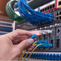 Les cordons de raccordement en fibre optique sont compatibles avec les interfaces SC-FC-ST-LC, présentant une faible perte d'insertion, une faible perte de retour et une installation facile.