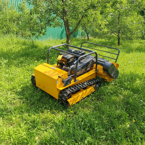 Tondeuse à gazon à moteur essence de haute qualité, livraison gratuite, pour usage agricole - Product Image 1