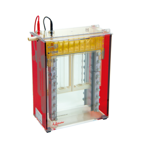 IKEME Labl Instrumento de electroforesis Tanque Sistema de electroforesis en gel Análisis de proteínas Aparato de electroforesis en gel vertical - Product Image 4