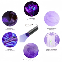 Lampe torche UV avec filtre noir et faisceau UV pur pour la détection des taches, l'inspection de la propreté et l'exploration en extérieur