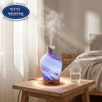 Diffuseur d'huile essentielle portable Air Aroma Lamp Nouveau design Source d'alimentation USB en plastique pour usage domestique dans les hôtels Garantie 1 an