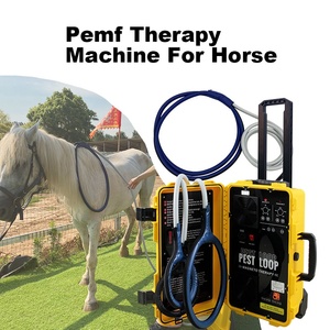 Máquina PEMF Portátil para Caballos, para Relajar los Músculos Tensados, Mejorar la Movilidad y Promover una Mejor Calidad de Sueño - Product Image 1