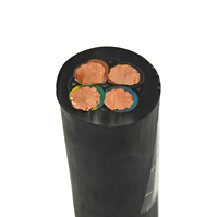 Câbles Électriques Souples en Caoutchouc H07RN-F à Isolation EPR, Fabricant de Câbles en Cuivre Pur 450V/750V, Brins Flexibles 3x4 3x6 3x10 3x16 25