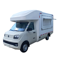 Mobil Van Retail Bensin Euro 5 dengan Pintu Sayap dan Bodi Fiberglass Berinsulasi untuk Toko Bunga Jalanan