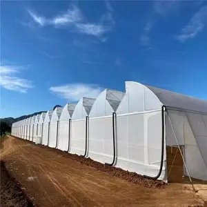Ecological Restaurant With Control System For Vegetable Greenhouse In Multi Story Glass Greenhouse