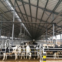 Establo Prefabricado de Acero Ligero para Ganado, Nave Duradera para Cría de Ganado, Almacén para Proyectos Agrícolas