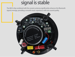 Độ Trung Thực Cao 60W * 2 Cho Bluetooth Loa Trần Khuếch Đại Top-Grade Không Dây Rạp Hát Tại Nhà Loa Với Vật Liệu Hình Nón - Product Image 5