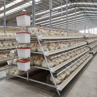 Cage à poules pondeuses en A, design peu encombrant, installation facile, équipement avicole pour l'élevage commercial de poules pondeuses