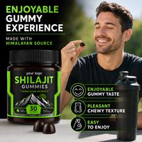 Formule Personnalisée en Vrac Certifiée GMP Végétalienne Sans OGM Résine Brute de l'Himalaya Ginseng Maca Énergie Endurance Vitalité Shilajit Adulte 100%
