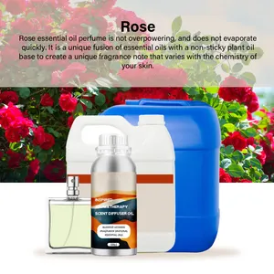 Best Seller Wholesale Long Lasting Aromatic Perfume Fragrance Oil Perfume Oil In Dubai Essential Perfume Fragrance Oil