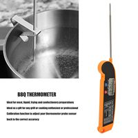 Sonde de température électronique pliante à lecture instantanée pour la cuisine, barbecue, four à aliments, thermomètre numérique