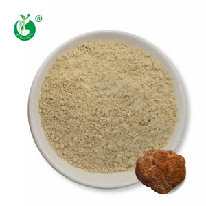 Herícum Erinaceus orgánico, extracto de Lions Mane en polvo, precio a granel - Product Image 1