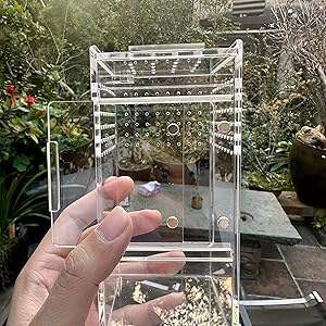 Caja de Acrílico Transparente con Tapa para <span class=keywords><strong>Tarántulas</strong></span>, Recinto para Arañas, Mascotas, Reptiles y Anfibios, Jaula para Arañas <span class=keywords><strong>Tarántulas</strong></span> - Product Image 2