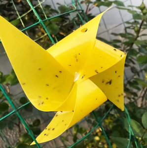 高コスト効果の高い黄色PPシート材料ダブルサイズ効果的なダニ害虫駆除のためのイエローブルー粘着トラップ - Product Image 6