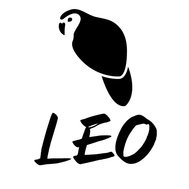 Yiwu Leo Apparel Co., Ltd. logo