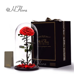 Hflora Vente en gros de boîtes cadeaux personnalisées avec dôme en verre et rose préservée, arrangement floral éternel longue durée pour la Saint-Valentin, la fête des mères - Product Image 6