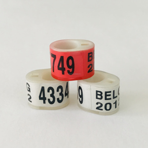 België Plastic Postduif Ringen Elektronische België Vogels Duif Plastic Voet <span class=keywords><strong>Ring</strong></span> - Product Image 6