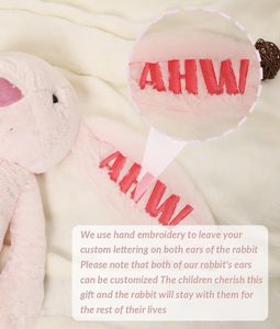 Handmade Tùy Chỉnh Thỏ Sang Trọng Đồ Chơi Cá Nhân Quà Tặng Em Bé Thêu Trẻ Em Của Tên Dễ Thương Bunny Thú Nhồi Bông Cho Cô Gái - Product Image 6