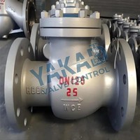 Katup Cek Baja Tahan Karat OEM Dapat Disesuaikan Sambungan Berflens Wafer Lug Berulir