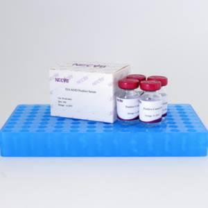 Agar-Gel-Immun diffusions (AGID)-Positiv kontroll serum der Pferde infektiösen Anämie (EIA) | OIE-Standard - Product Image 5