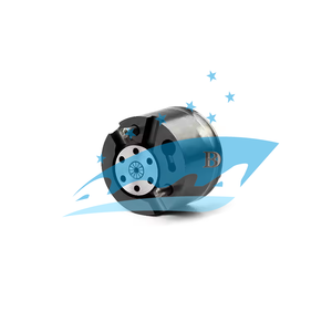 Vanne de commande d'injecteur à rampe commune Euro 6 pour injecteur D Elphi 28650353 28592826 28430285 28371339 28373983 - Product Image 6