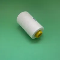 Fil à coudre 40/2 en polyester filé 100% haute ténacité, 5000 yards, couleur beige, semi-terne, teint, pour broderie au point de croix