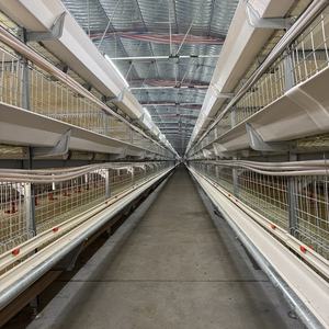 Cage de poulet de système de batterie à multiniveaux à haute efficacité de Type H pour les <span class=keywords><strong>poules</strong></span> <span class=keywords><strong>pondeuses</strong></span> - Product Image 2