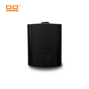 Hệ Thống Loa Treo Tường Thiết Bị Âm Thanh Chuyên Nghiệp/Bộ Khuếch Đại/Loa/Loa Gắn Tường Âm Thanh Bằng Nhựa Kim Loại Không Dây Di Động - Product Image 2