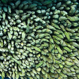 Asperges surgelées adaptées aux climats multi-régions, faciles à stocker et à circuler, pour les affaires d'import-export alimentaire transfrontalier - Product Image 4