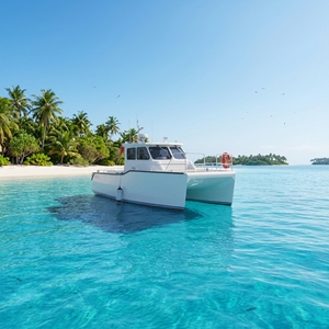 Catamarano in Alluminio da 10m per Pesca Sportiva, Capacità 12 Persone, Doppio Motore, per Crociere Marine e Pesca - Product Image 5