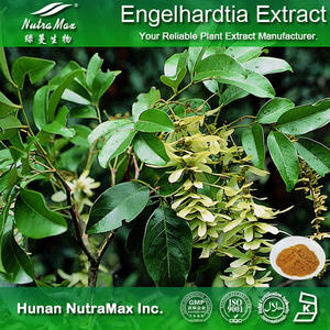 Premium (Huang Qi) Engelhardtia Folha Extract 80% Dihydroquercetin Taxifolin para Alimentos Funcionais e Nutracêuticos - Product Image 2