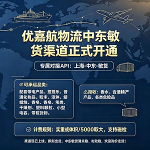 Ligne de fret aérien Nouvelle-Zélande - Moyen-Orient, fret aérien Shanghai vers les Émirats arabes unis, transport de marchandises dangereuses, expédition express - Product Image 5