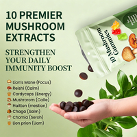 Gummies aux champignons véganes et purs, à base de plantes, saines, 10-en-1, avec logo personnalisé, formule sur mesure, prix d'usine en gros
