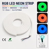 Ruban LED néon RGB 12x25mm, LED néon latérale, étanche, lumière néon RGB, DC24V SMD5050 pour projets extérieurs