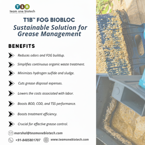 Microbial FOG BioBloc Commercial <b>Kitchen</b> <b>Equipment</b> for Continuous Drain Maintenance - Product Image 1