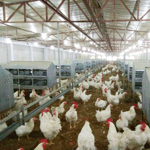 Bangchi 24 agujeros de huevo de pollo caja nido gallinas que nido