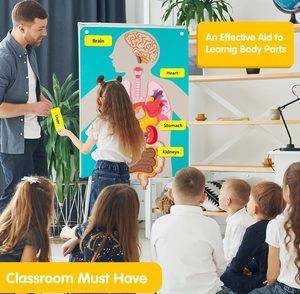 Craftstory Juguetes Educativos Sensoriales para Niños Pequeños, Tablero <span class=keywords><strong>de</strong></span> Fieltro para Enseñar las Partes del Cuerpo, Manualidades <span class=keywords><strong>de</strong></span> Madera, 5-7 Años, Suministros para Guardería - Product Image 2