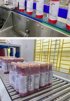 Sapproductielijn Drankproductielijn Verwerkingslijn Sapverwerkingsmachine