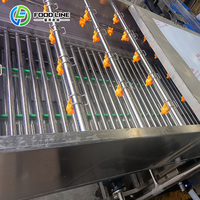 Luchtkussenwasmachine voor fruit, groenten, tomaten, appels en mango's