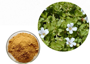 Капсулы для экстракта <span class=keywords><strong>bacopa</strong></span> <span class=keywords><strong>monnieri</strong></span>, порошок 50% <span class=keywords><strong>Bacopa</strong></span> Bacosides - Product Image 5