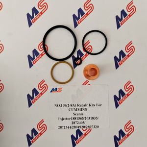 Kit di riparazione n. 109(2-8a) per CUMMINS Scania inijtor1881565/2031835/ 2872405/ 2872544/2894920/2897320 - Product Image 4