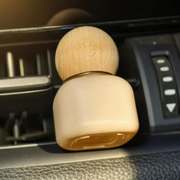 Diffuseur d'arômes liquide pour voiture, désodorisant en bois miniature, huile essentielle d'aromathérapie, élimination des odeurs, 10 ml