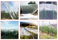Filet de protection anti-grêle pour raspberry, cerise, raisin, arbre, serre, jardin, fruits