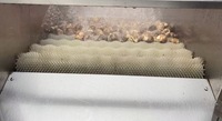 Industriële kiwi-wasmachine rollerborstel reinigingsmachine voor kiwi-fruitverwerkingslijn