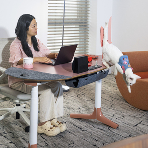 Uispair Thông Minh Điện Hiện Đại Bảng Điều Chỉnh Chiều Cao Có Thể Điều Chỉnh Bàn Nhà Văn Phòng Nhập Khẩu Động Cơ Kép Đứng Xen Khoảng Cách Xoài Gỗ - Product Image 3